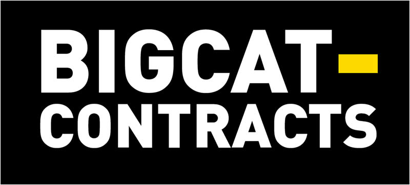 big cat big cat